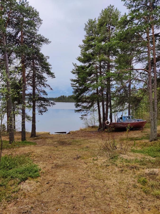 Jaktstuga Lomakylae Lapponia